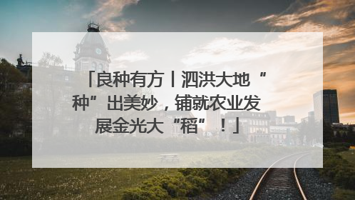 良种有方丨泗洪大地“种”出美妙，铺就农业发展金光大“稻”！
